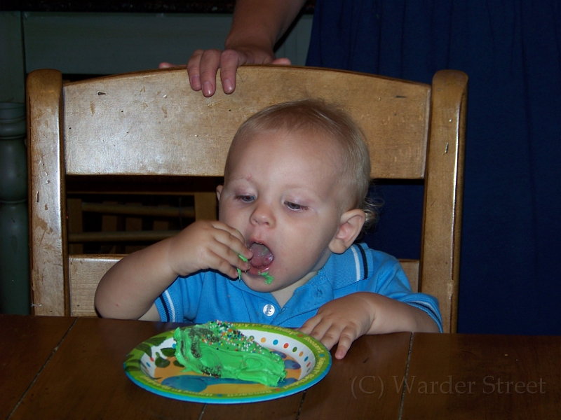 William's 2nd 1st Birthday Party 372.jpg